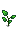 Stage 5