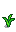 Stage 5