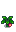 Stage 5