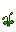 Stage 5
