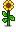 Stage 6