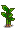 Stage 5