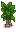 Stage 6